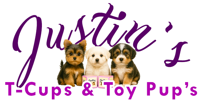 Welcome to Our New Puppy Blog!