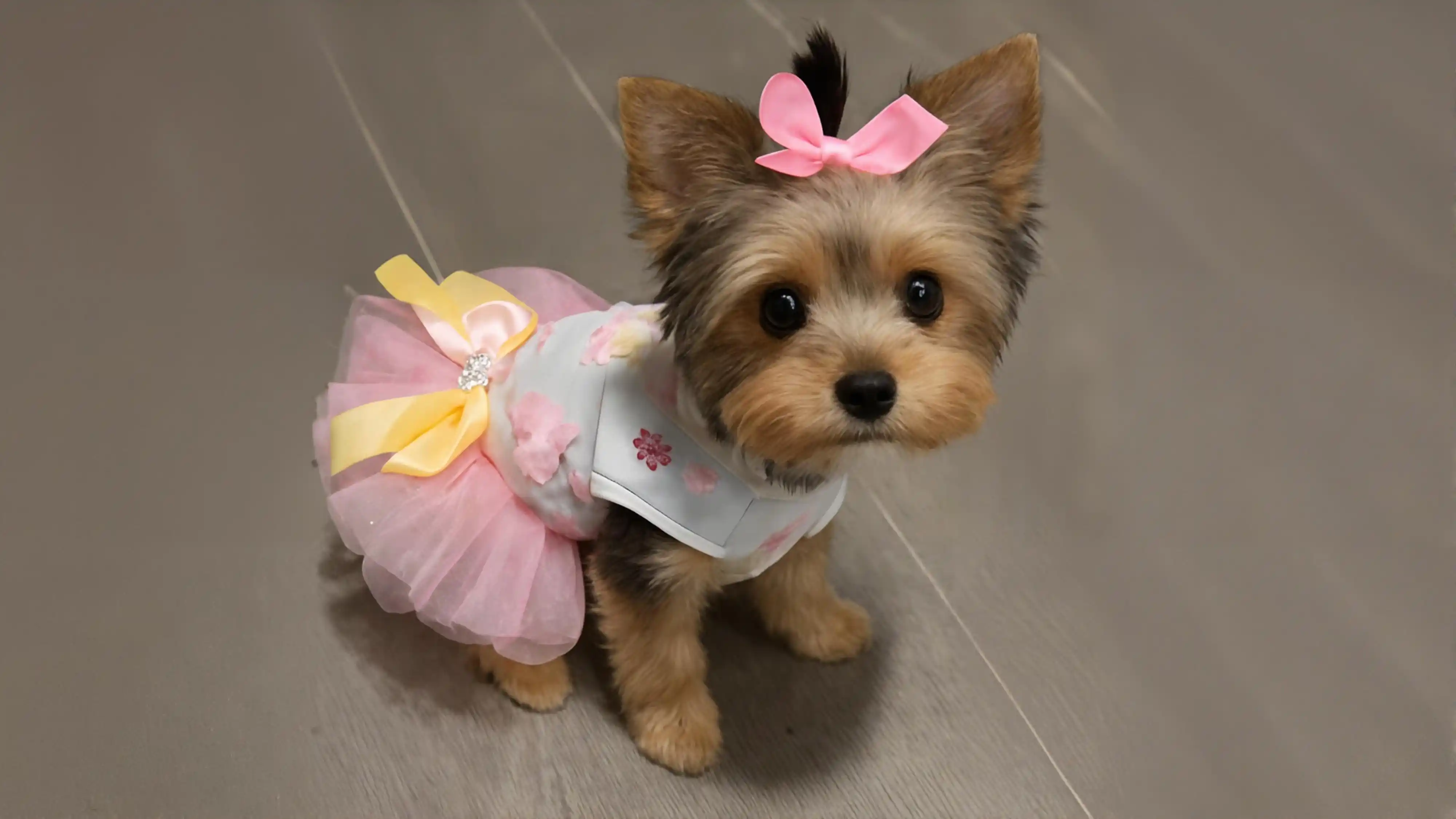 Tea Cups and Toy Puppies