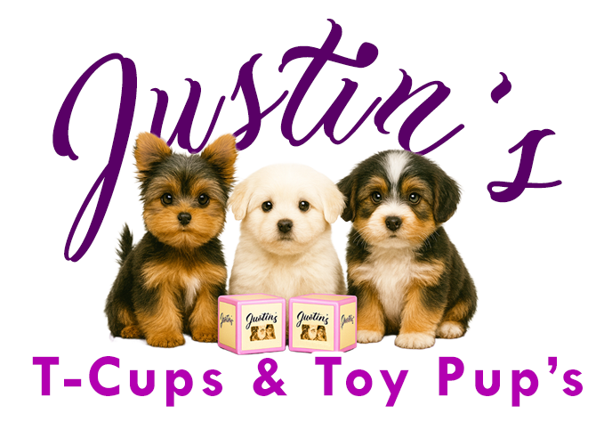 Justin's TCups & Toy Puppy's